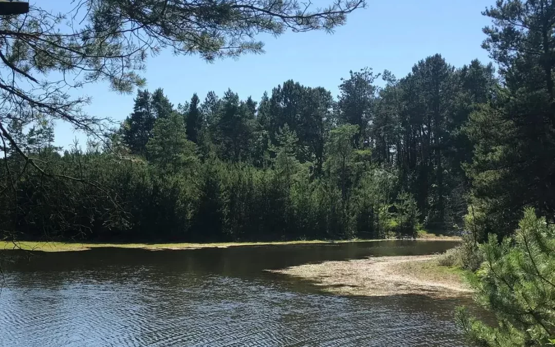Gunbower National Park