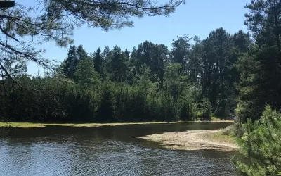 Gunbower National Park